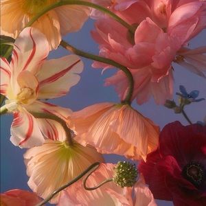 Meet your Posher, Beth